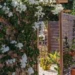 Apartman Farm Olive, Casa Alfarrobeira *