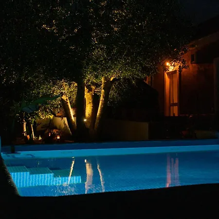 Farm Olive, Casa Alfarrobeira * מונקאראפאצ'ו