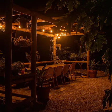 Apartment Farm Olive, Casa Alfarrobeira *