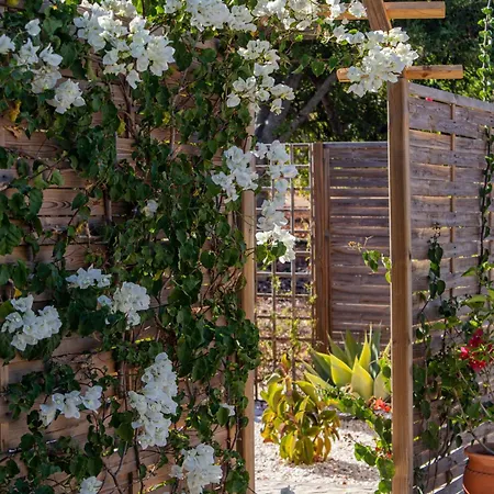 Apartment Farm Olive, Casa Alfarrobeira *